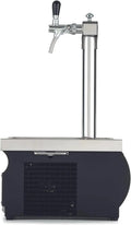 modello 2-leitig 50L, Zapfanlage Kontakt 55 Bierzapfanlage 2-leitig Trockenkühlgerät Edelstahl 50L, h Green Line Efficienza 45% Risparmio Energetico
